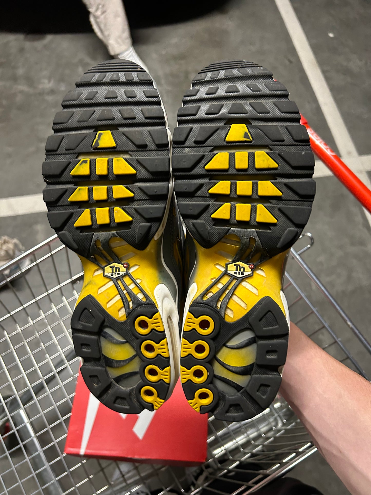 Nike Air Max Plus Grey Sulphers