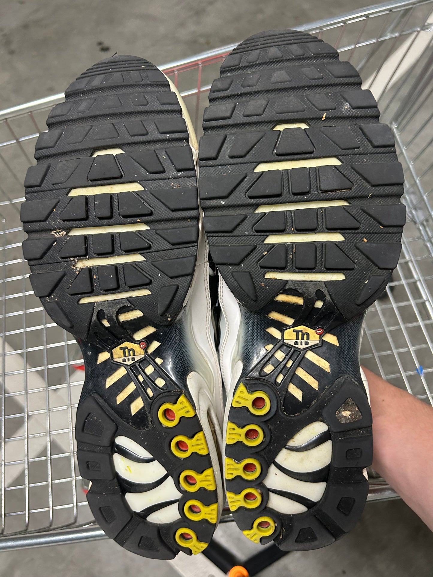 Nike Air Max Plus Killer Whales US12