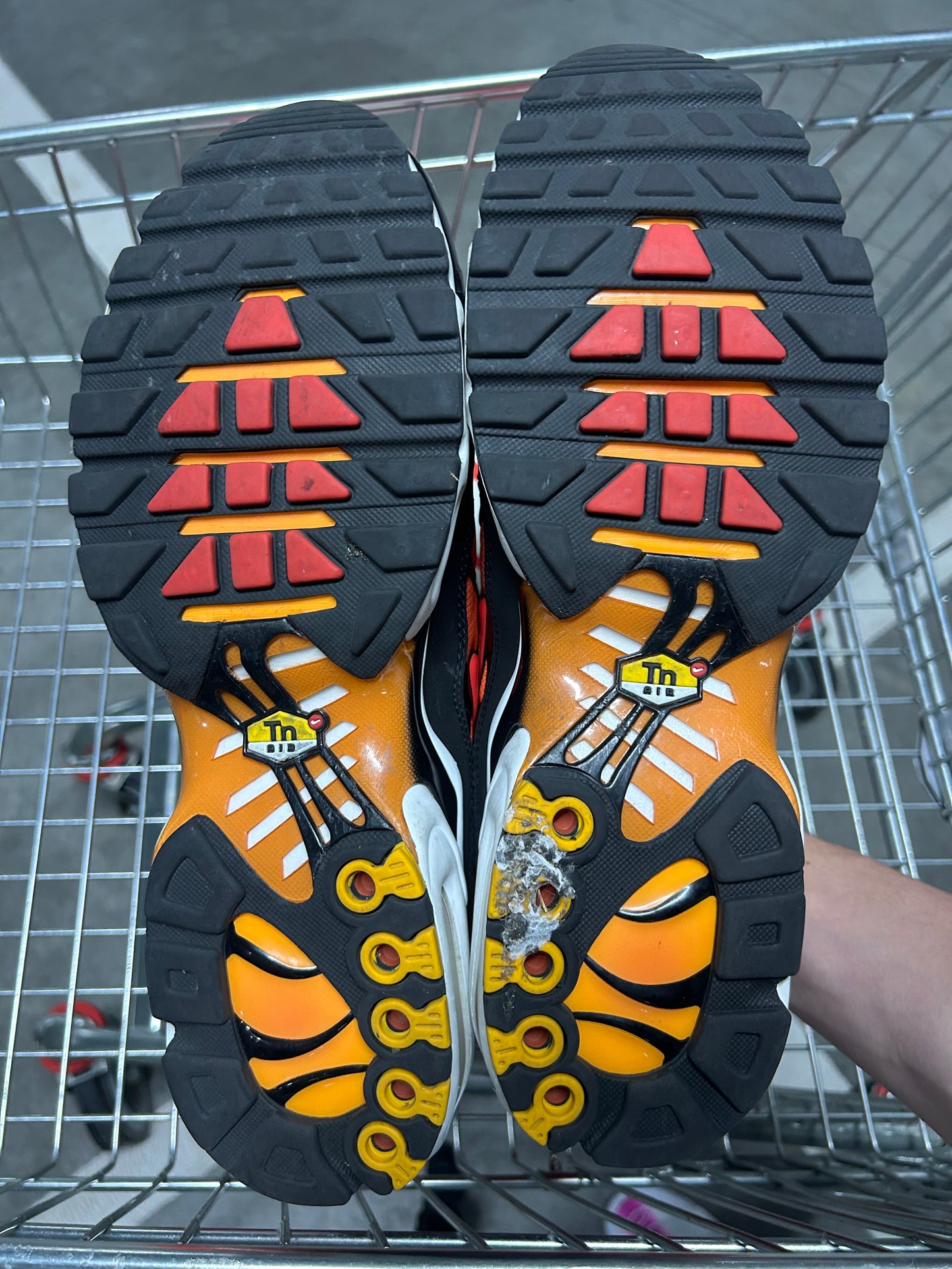 Nike Air Max Plus Tigers 2024 US11 Men’s