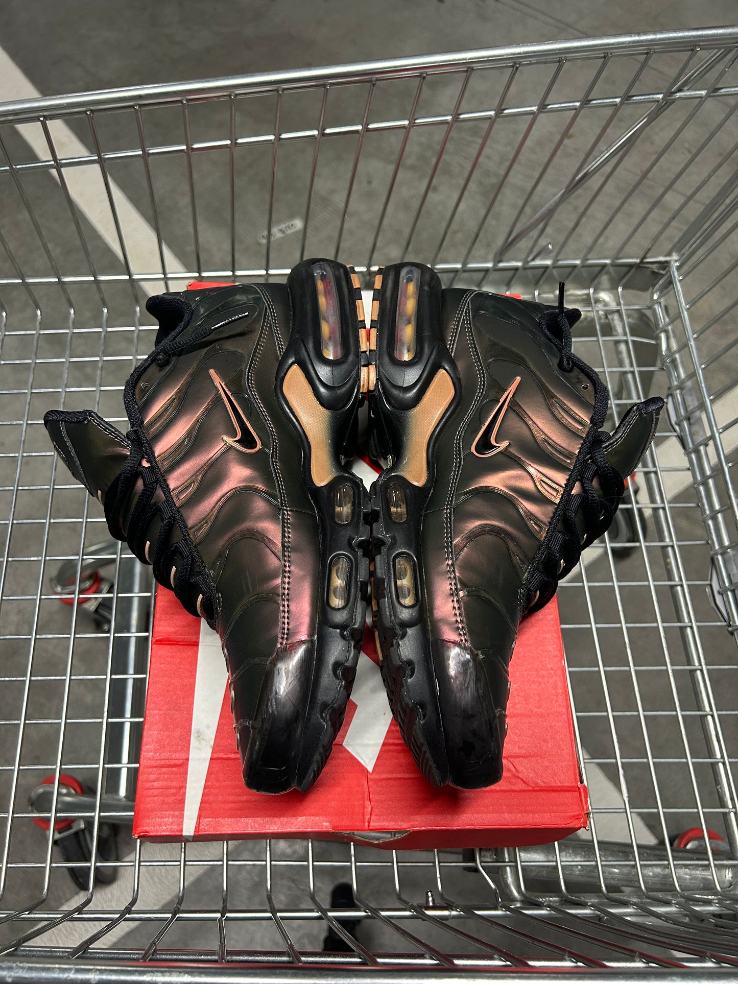Nike Air Max Plus Scarabs Men’s US10