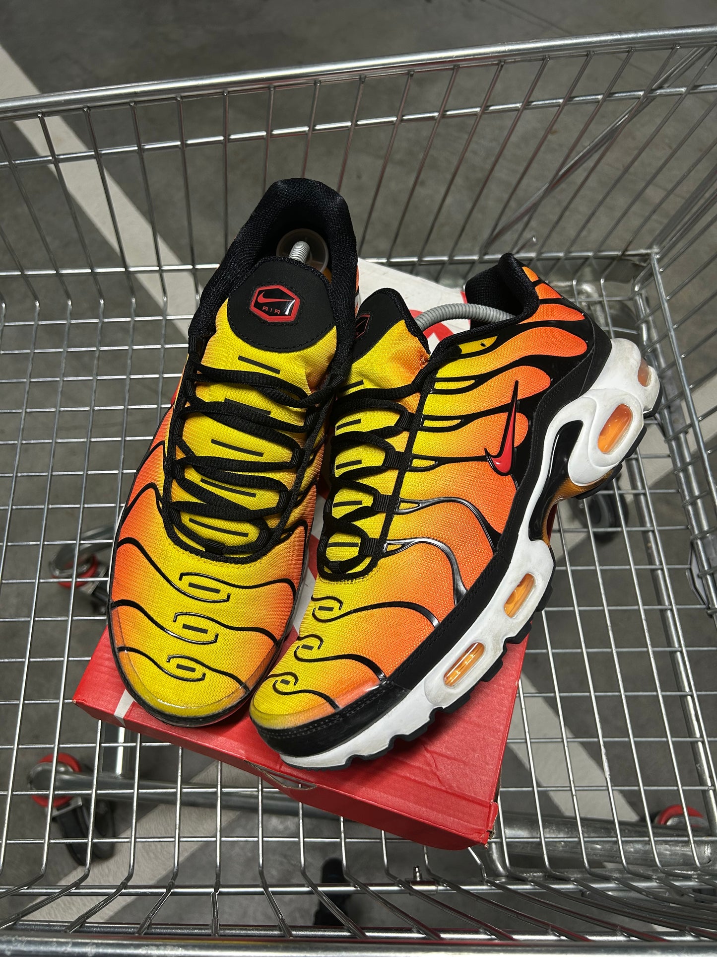 Nike Air Max Plus Tigers 2024 US11 Men’s