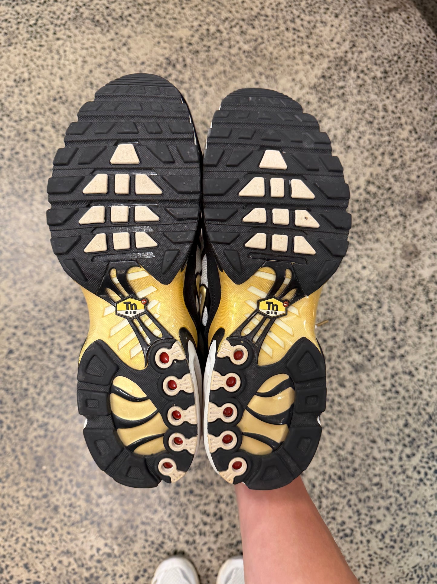 Nike Air Max Plus "White Metallic Gold" US11.5 Men's