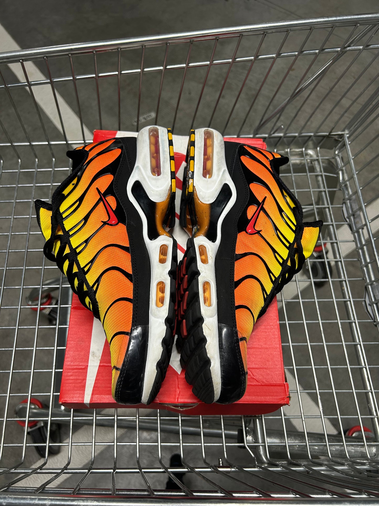 Nike Air Max Plus Tigers 2024 US11 Men’s