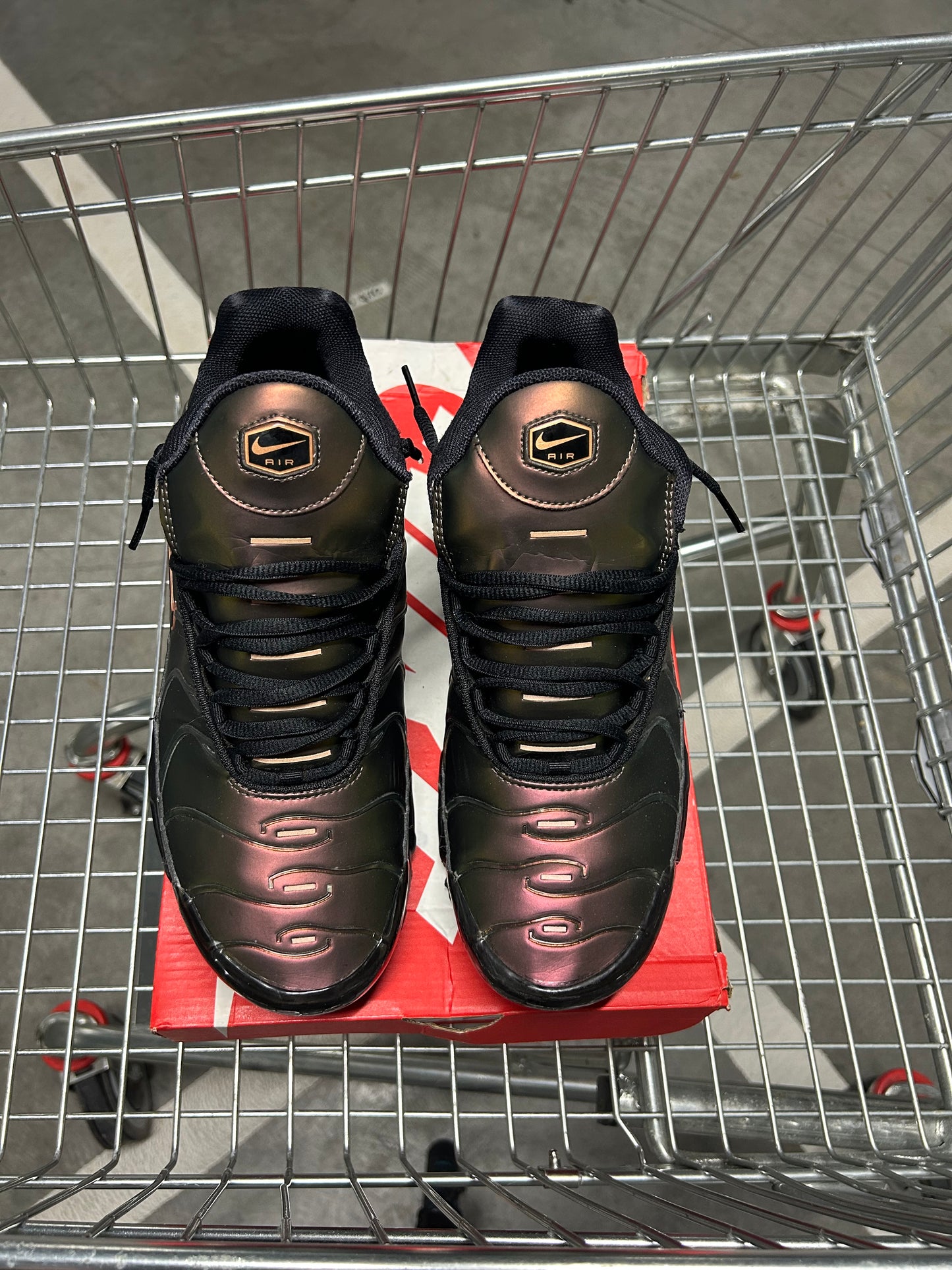 Nike Air Max Plus Scarabs Men’s US10