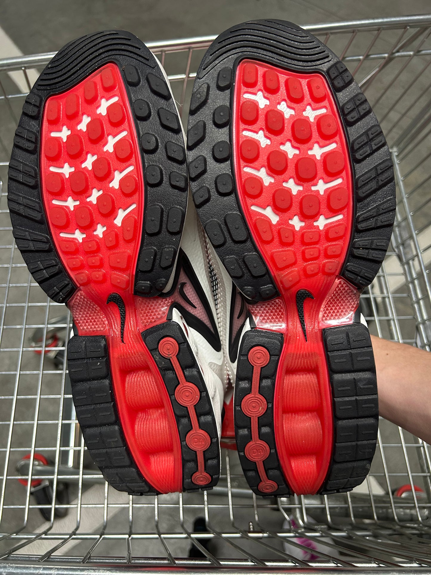 Nike Air Max DN Dragons Men’s US11