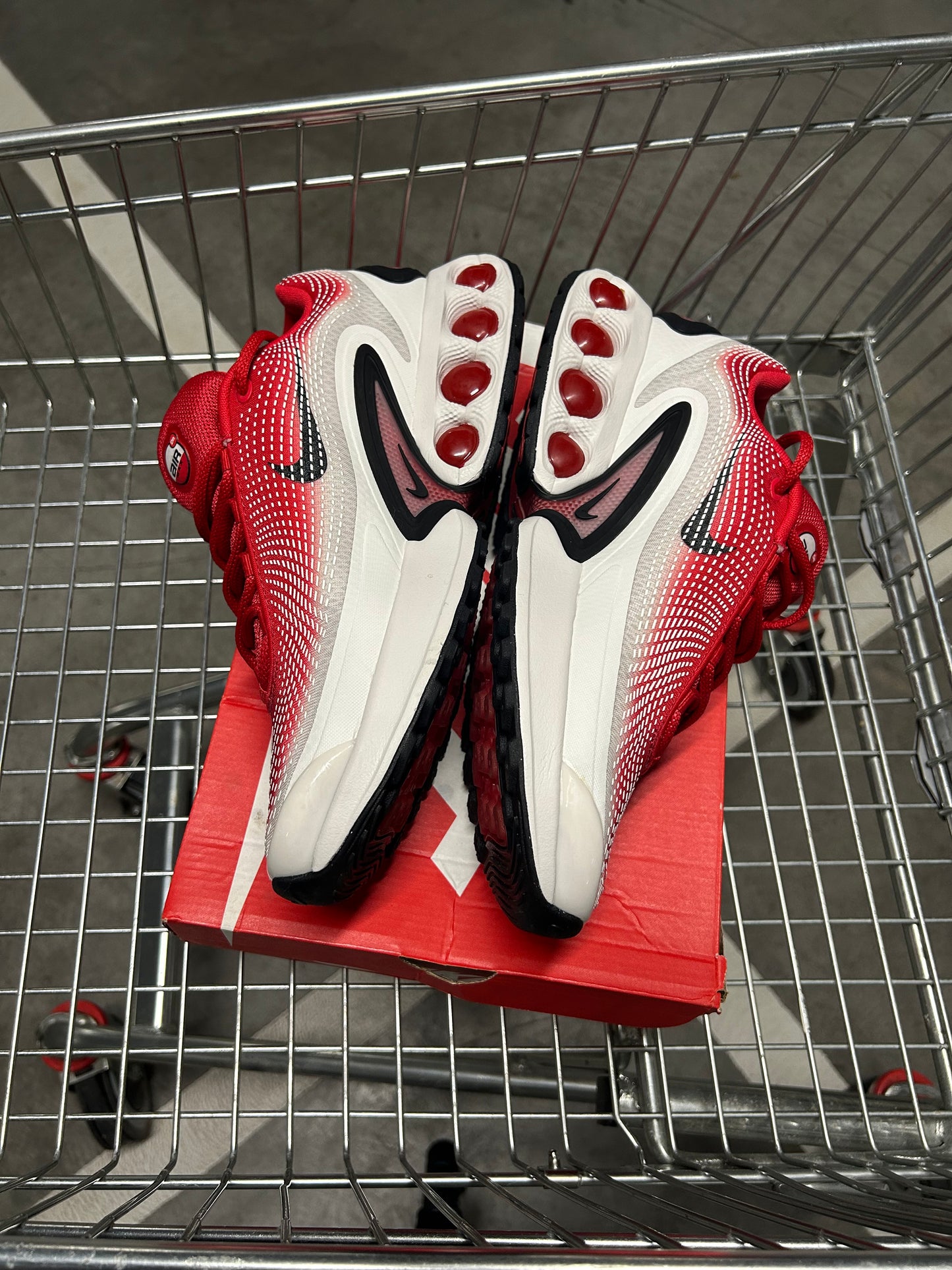 Nike Air Max DN Dragons Men’s US11