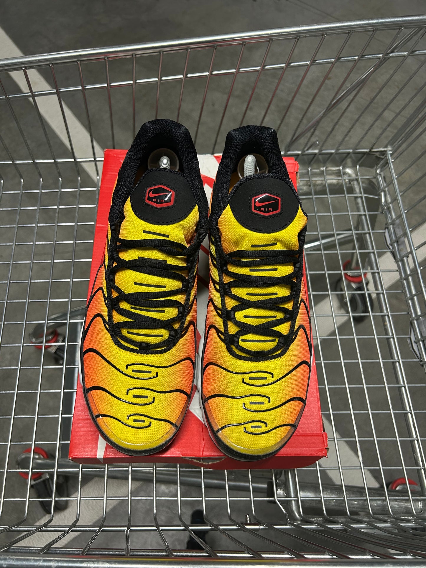 Nike Air Max Plus Tigers 2024 US11 Men’s
