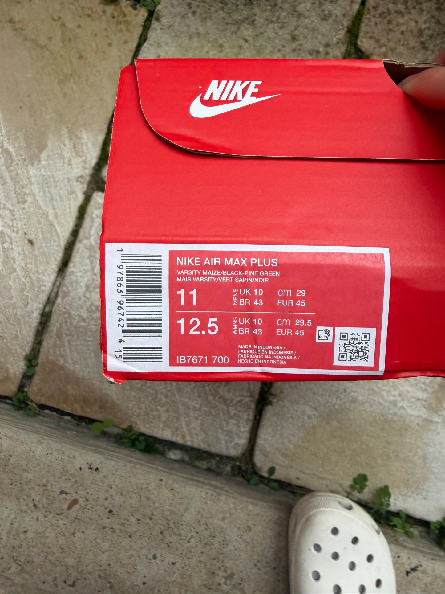 Nike Air Max Plus “Brazil” US11