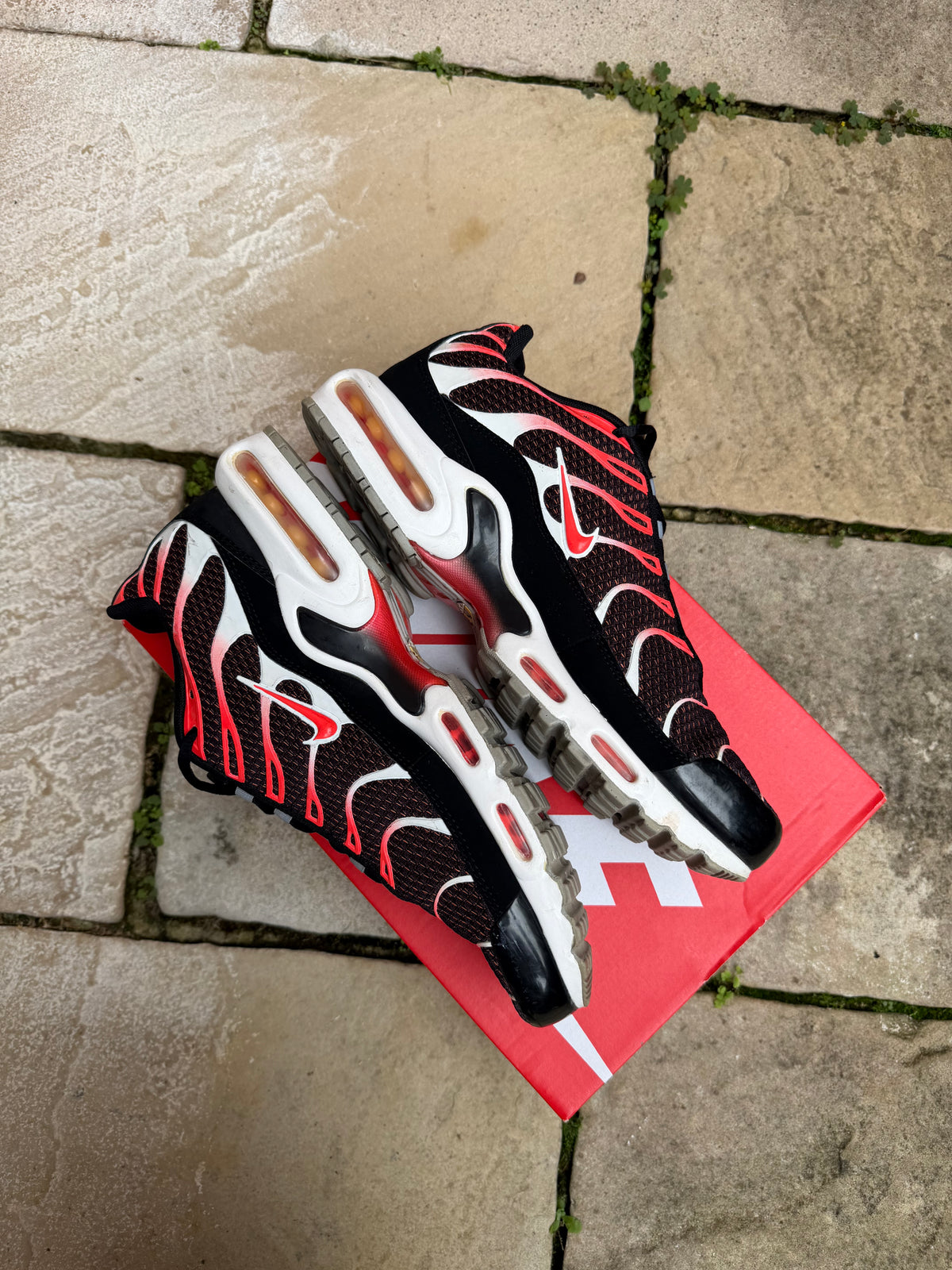 Nike Air Max Plus "Hot Siren Red" US11 Men's