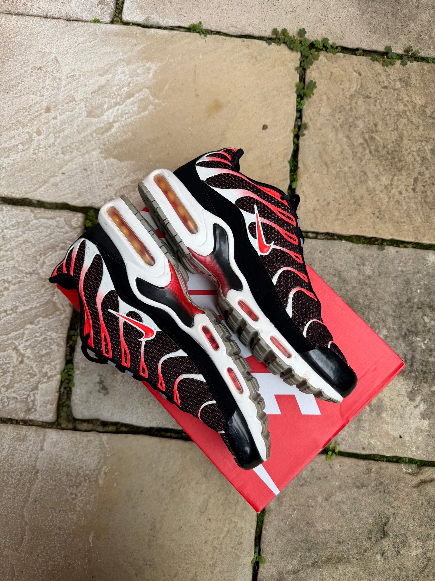 Nike Air Max Plus "Hot Siren Red" US11 Men's