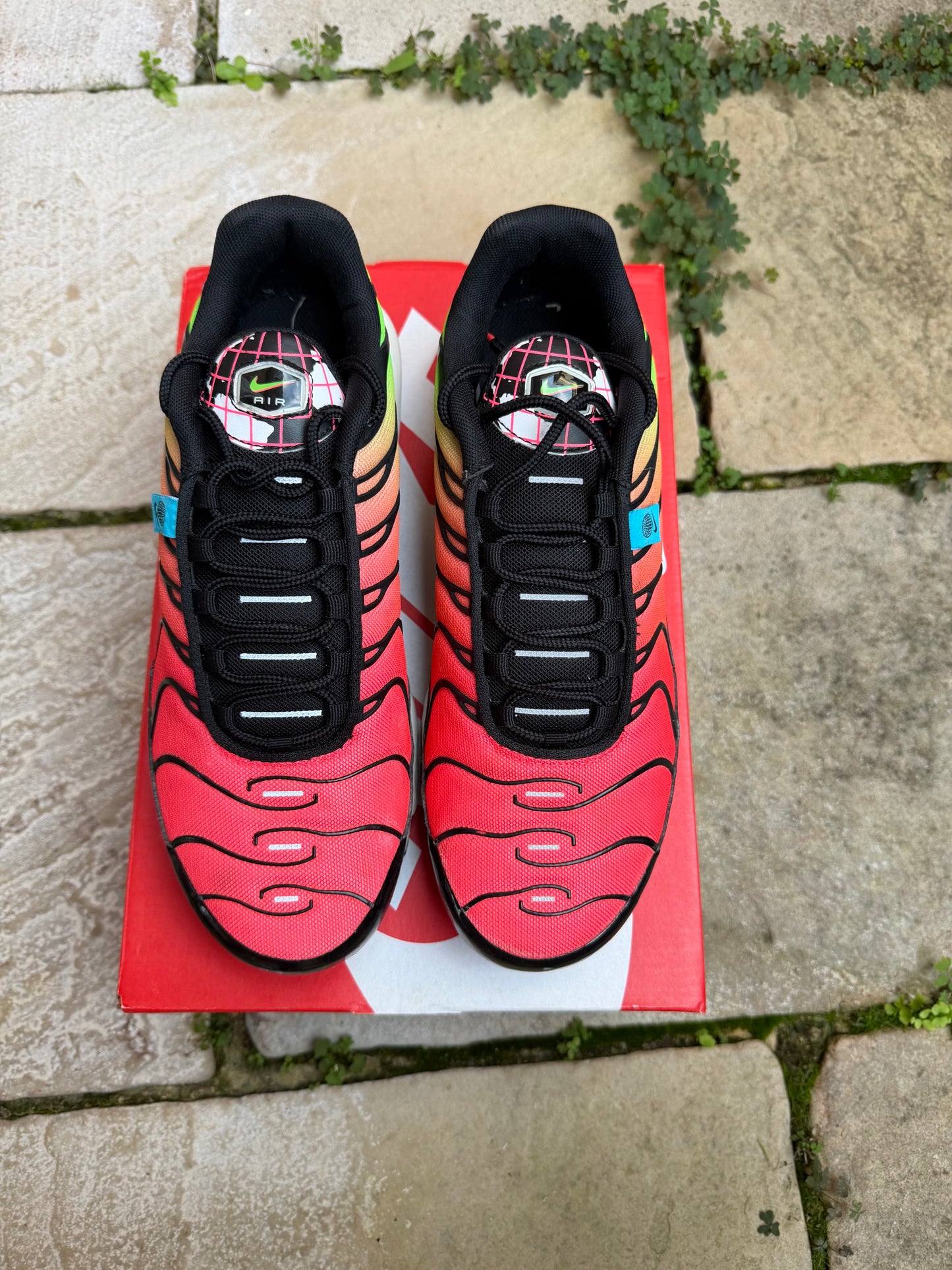 Nike Air Max Plus "Dark WorldWide" US9 Men's