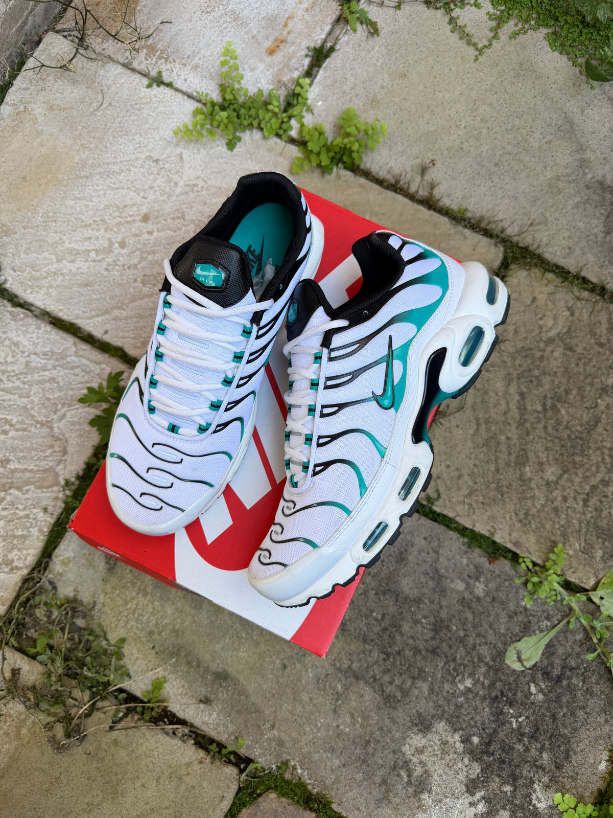 Nike Air Max Plus “Turbo” US10.5 Men’s