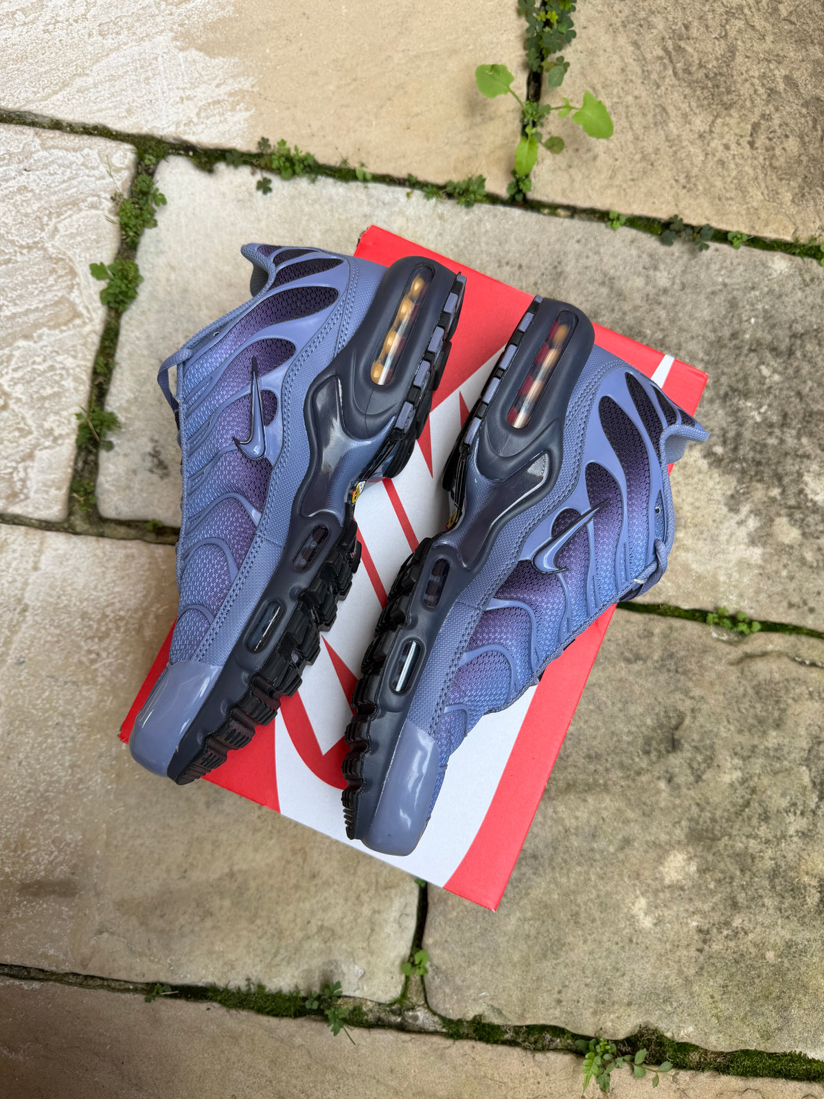 Nike Air Max Plus “World Indigo” US10 Men’s
