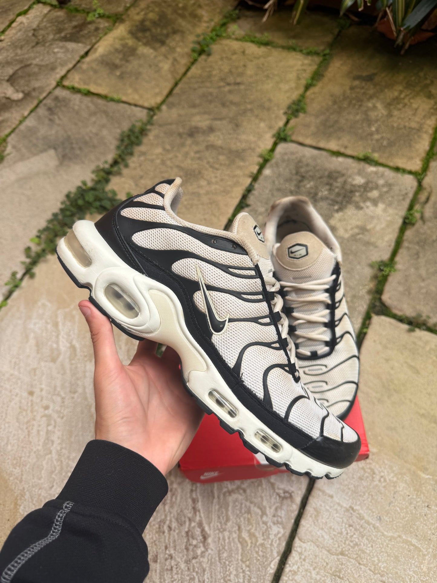 Nike Air Max Plus "Panda" US12 Men's