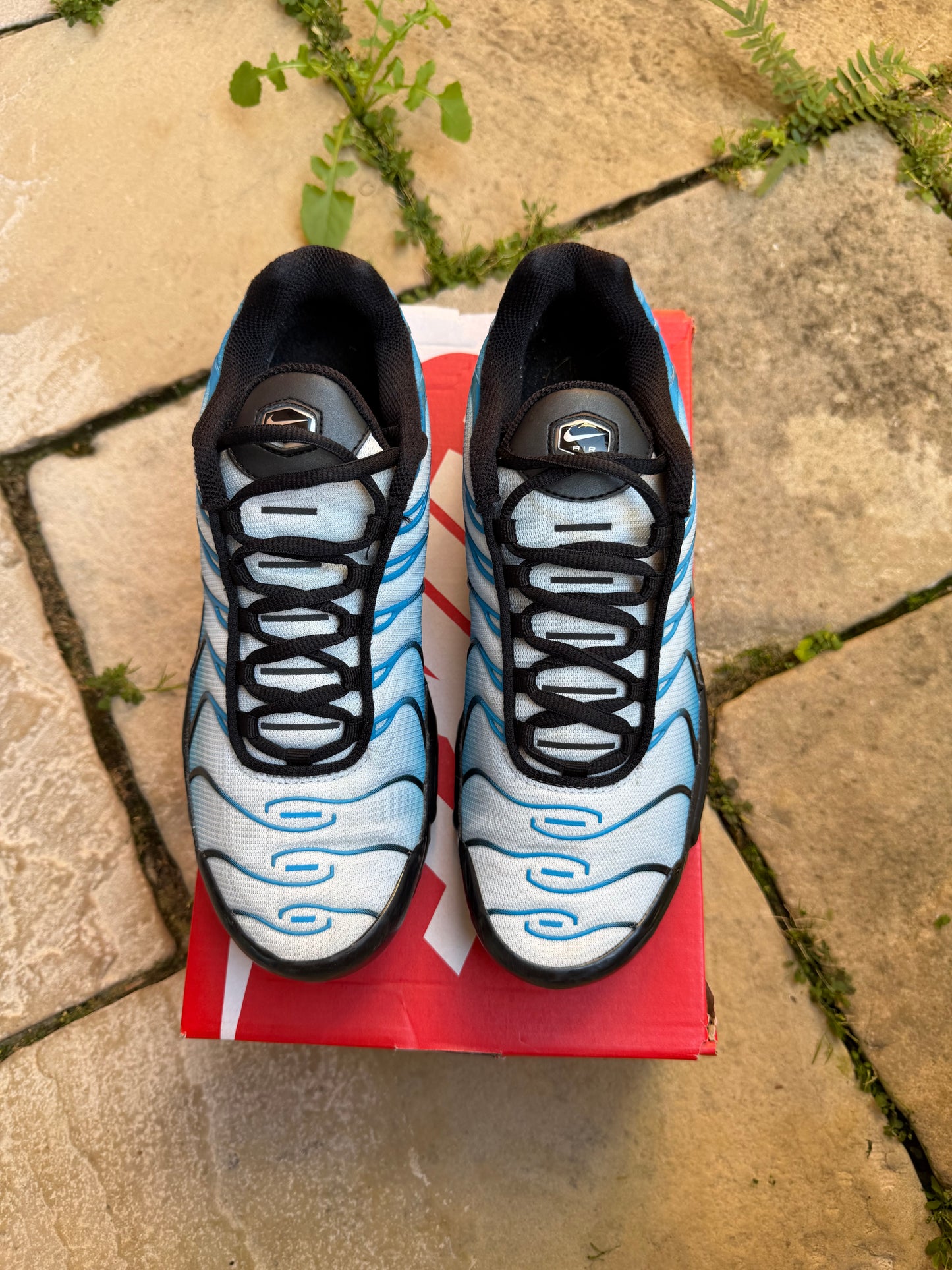 Nike Air Max Plus “Aquarius Blue” US8 Men’s