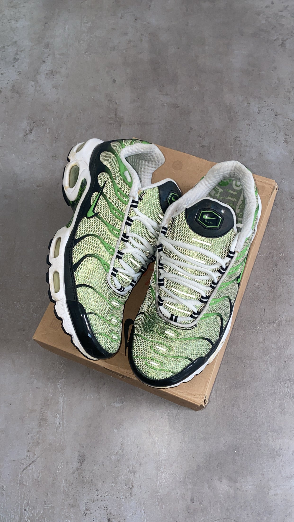 Nike Air Max Plus "Rejuvenation" (2006) US11 Men's
