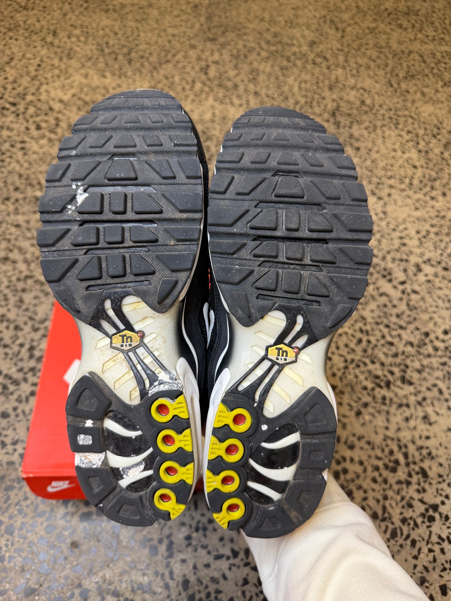 Nike Air Max Plus Frosts US9.5 Mens