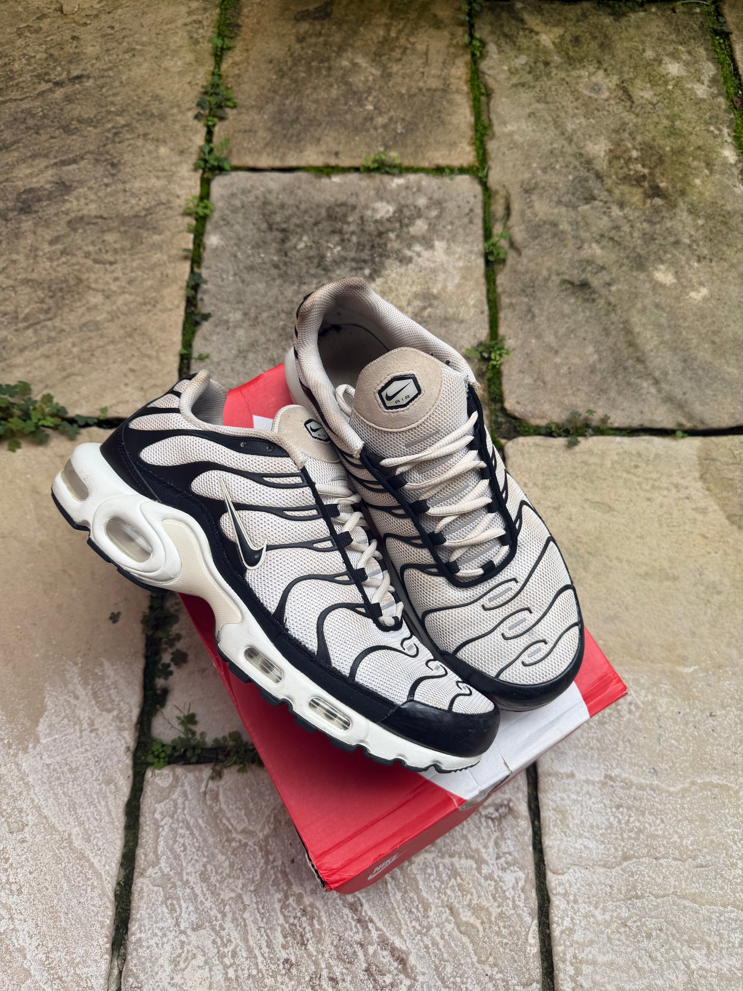 Nike Air Max Plus "Panda" US12 Men's