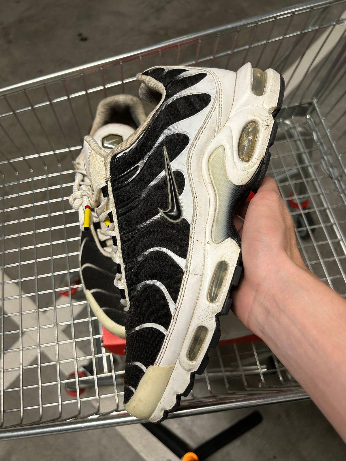 Nike Air Max Plus Killer Whales US12