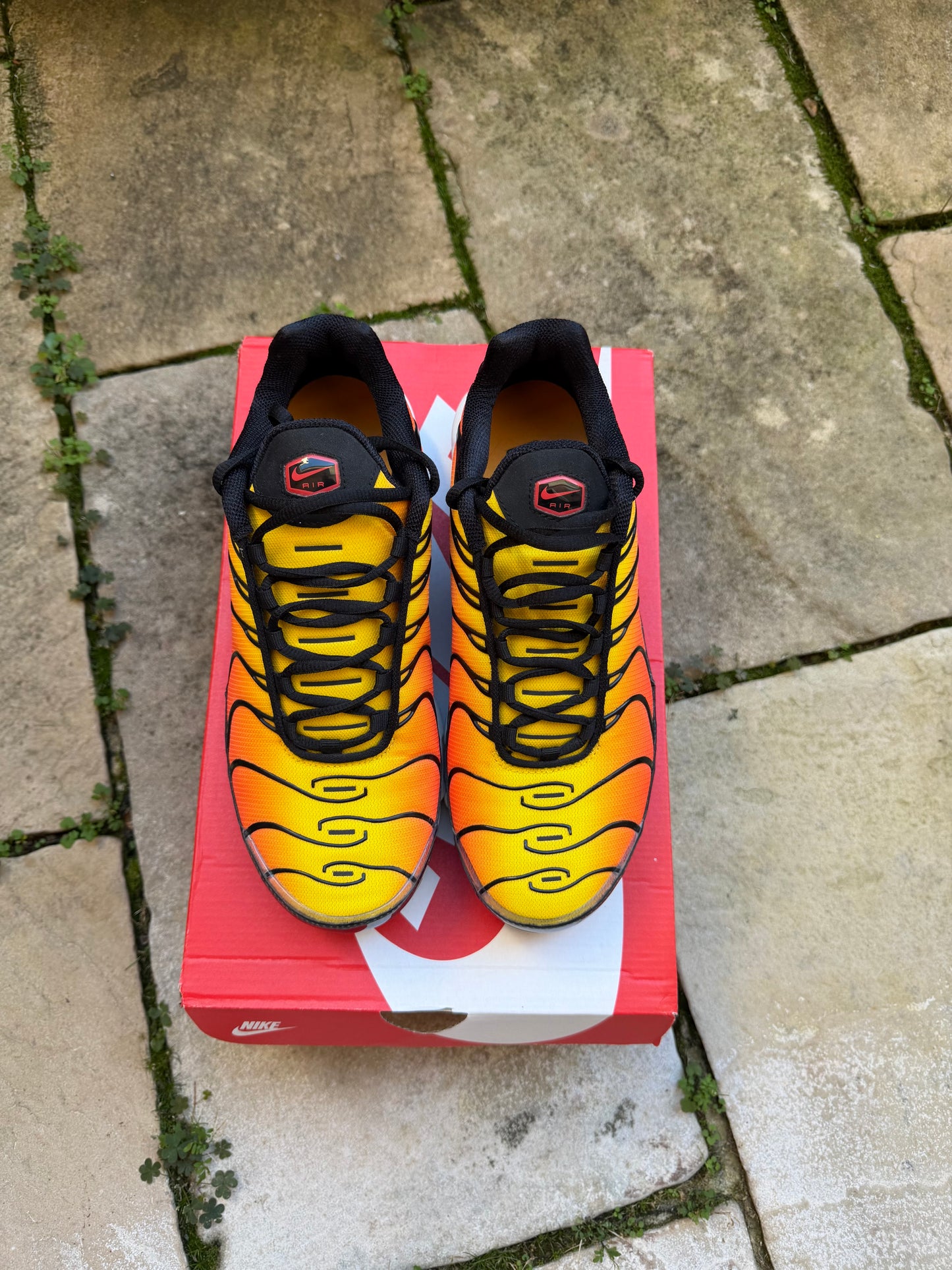 Nike Air Max Plus Tiger 2025 US8.5 Men's