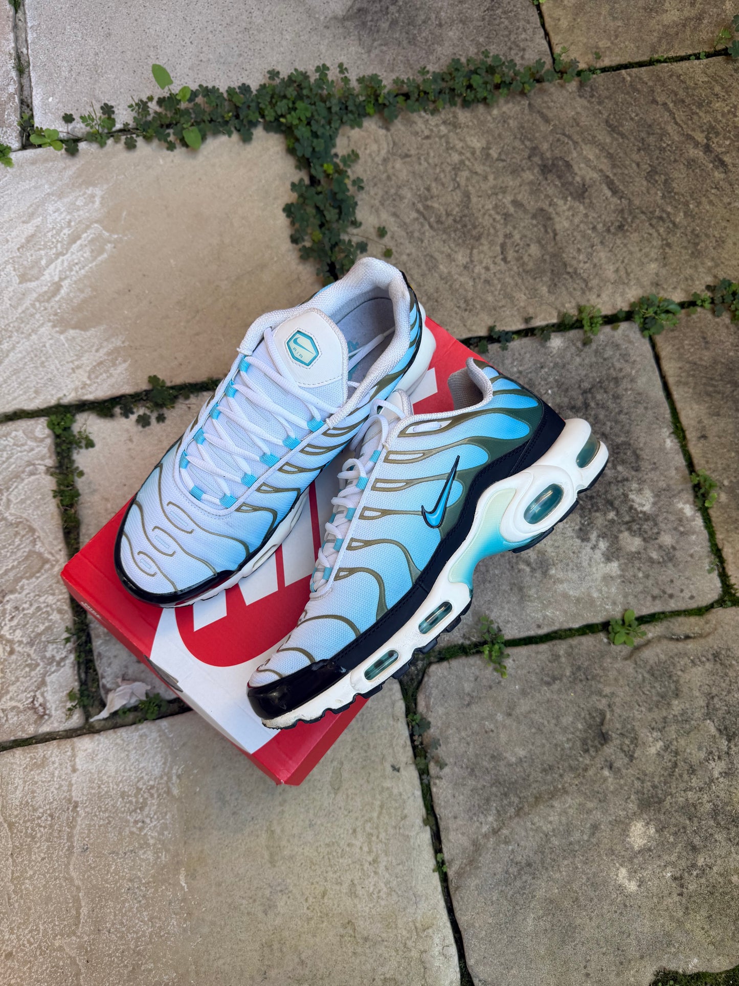 Nike Air Max Plus "Baltic Blue" US11.5 Men's