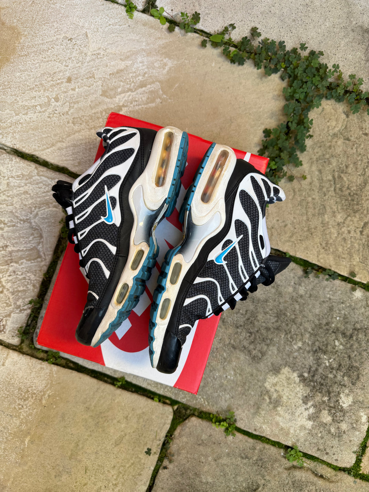 Nike Air Max Plus "Vivid" (2013) US8.5 Men's