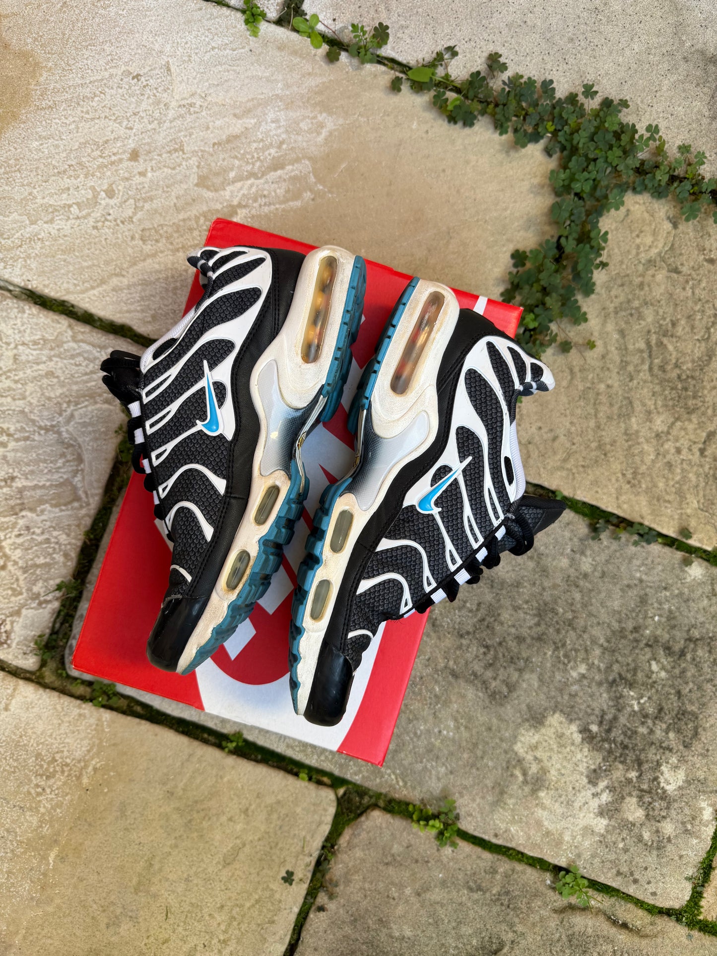 Nike Air Max Plus "Vivid" (2013) US8.5 Men's