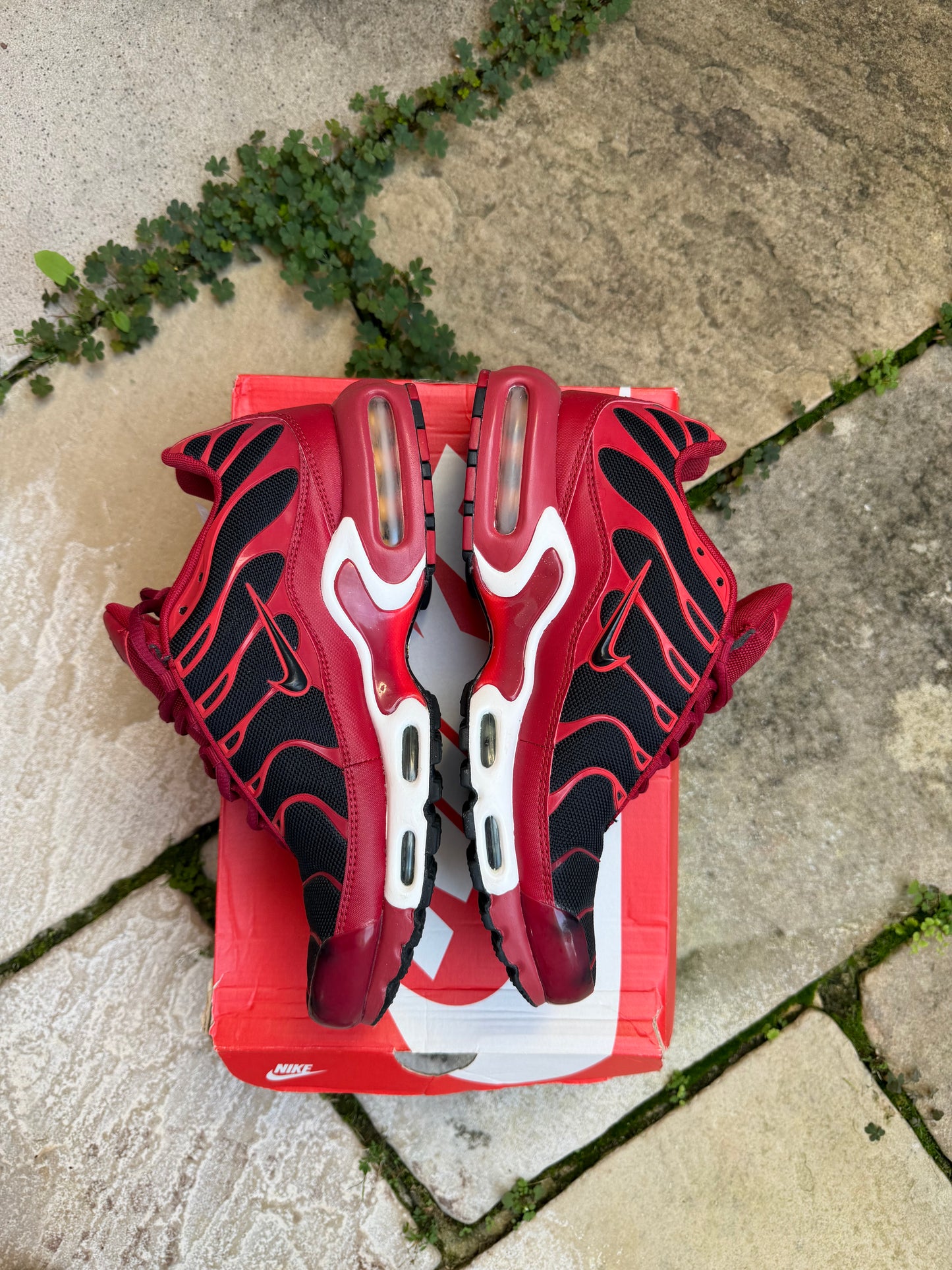 Nike Air Max Plus "Chile Red" US9 Men's