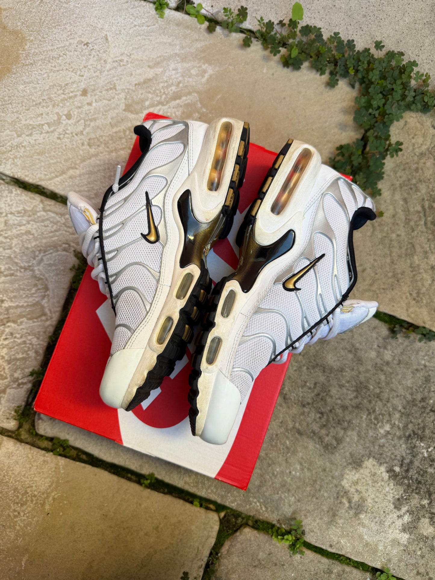Nike Air Max Plus "Gold Trophies" (2013) US8.5 Men's