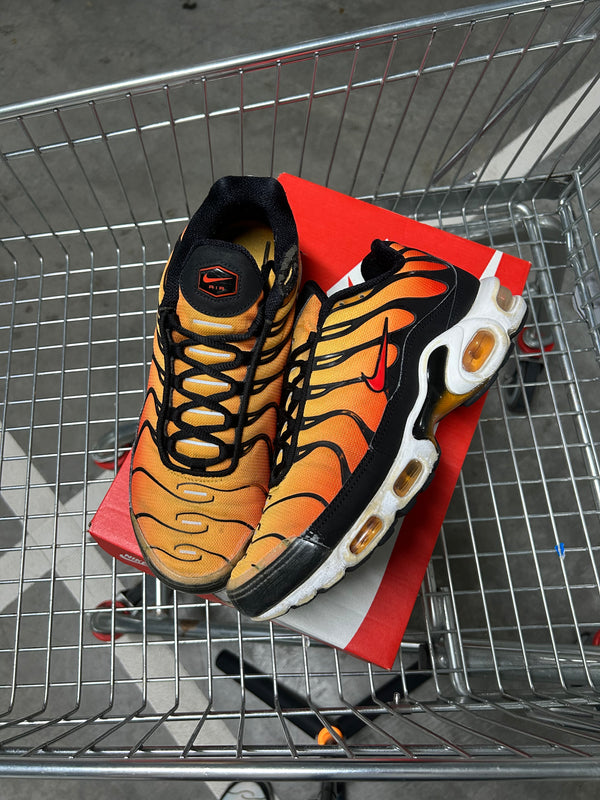 Nike Air Max Plus Tiger 2018 US9 Men's