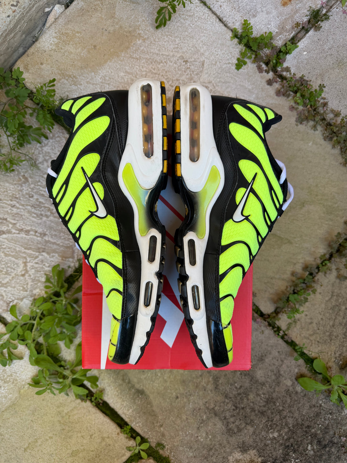 Nike Air Max Plus “Lime Green” US13 Men’s
