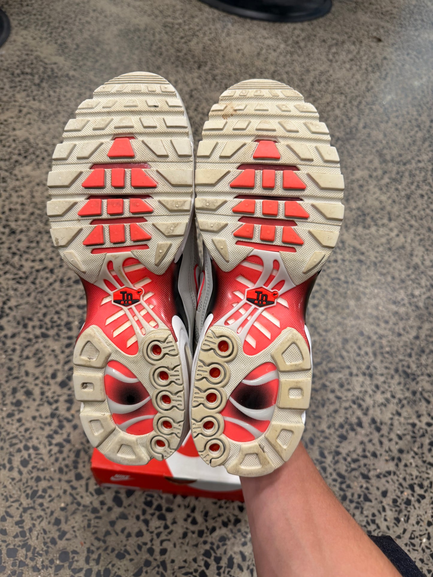 Nike Air Max Plus "Light Bone" US10.5 Men's