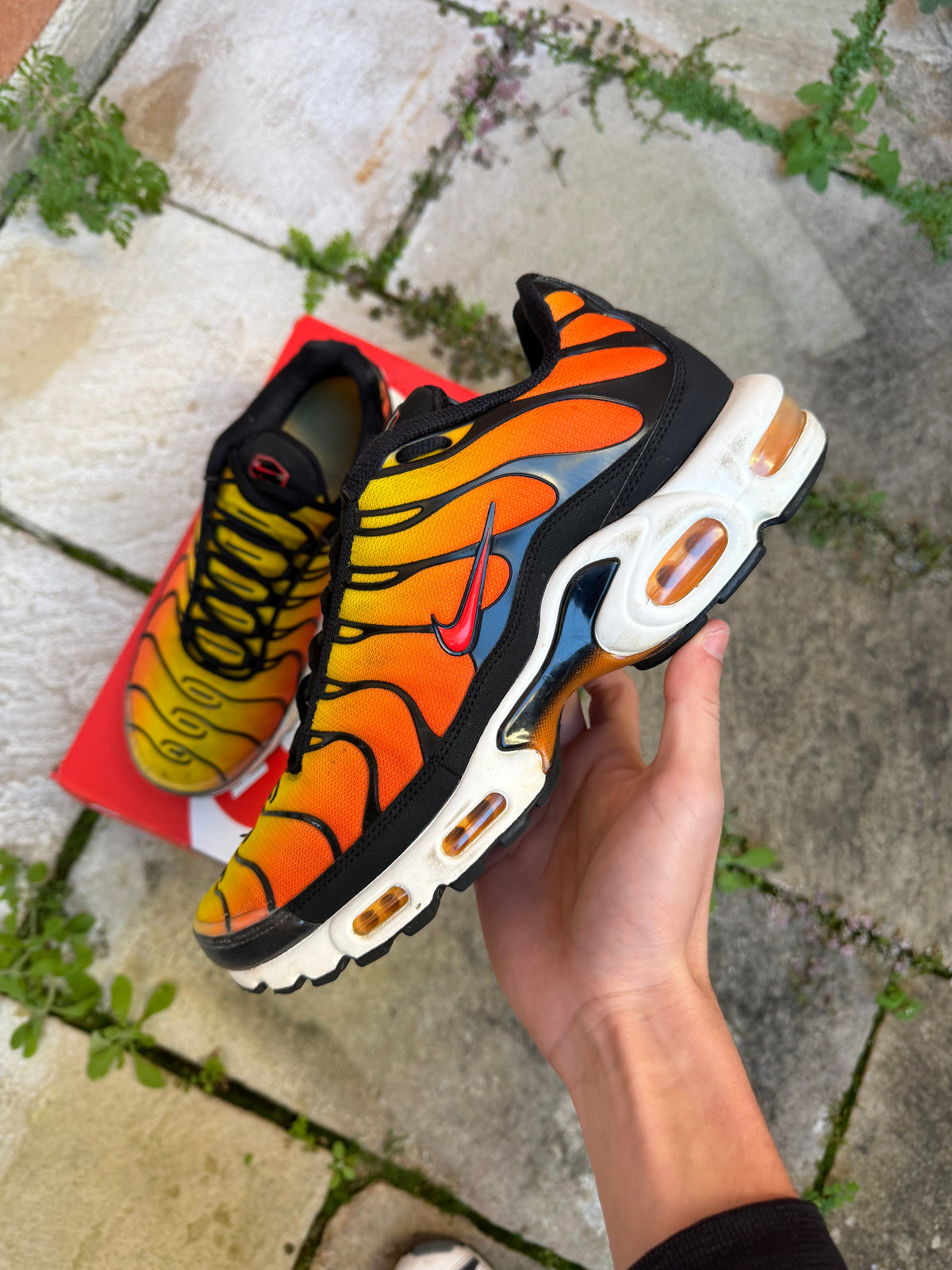 Nike Air Max Plus “Tiger” (2024) US10 Men’s