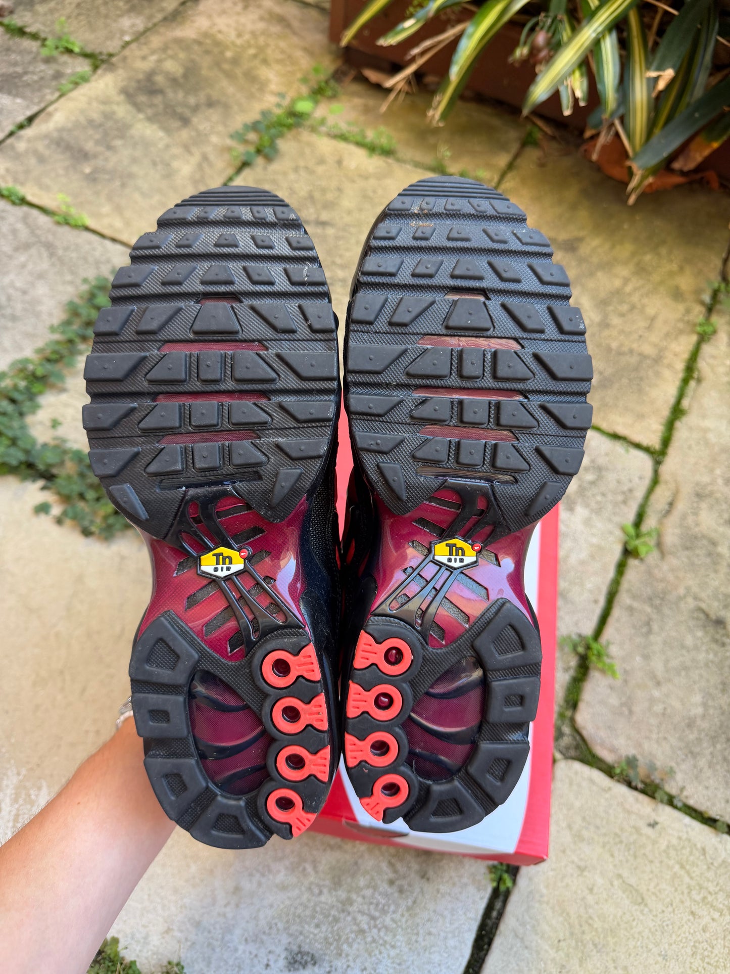 Nike Air Max Plus "Gradient Bred" US8.5 Men's