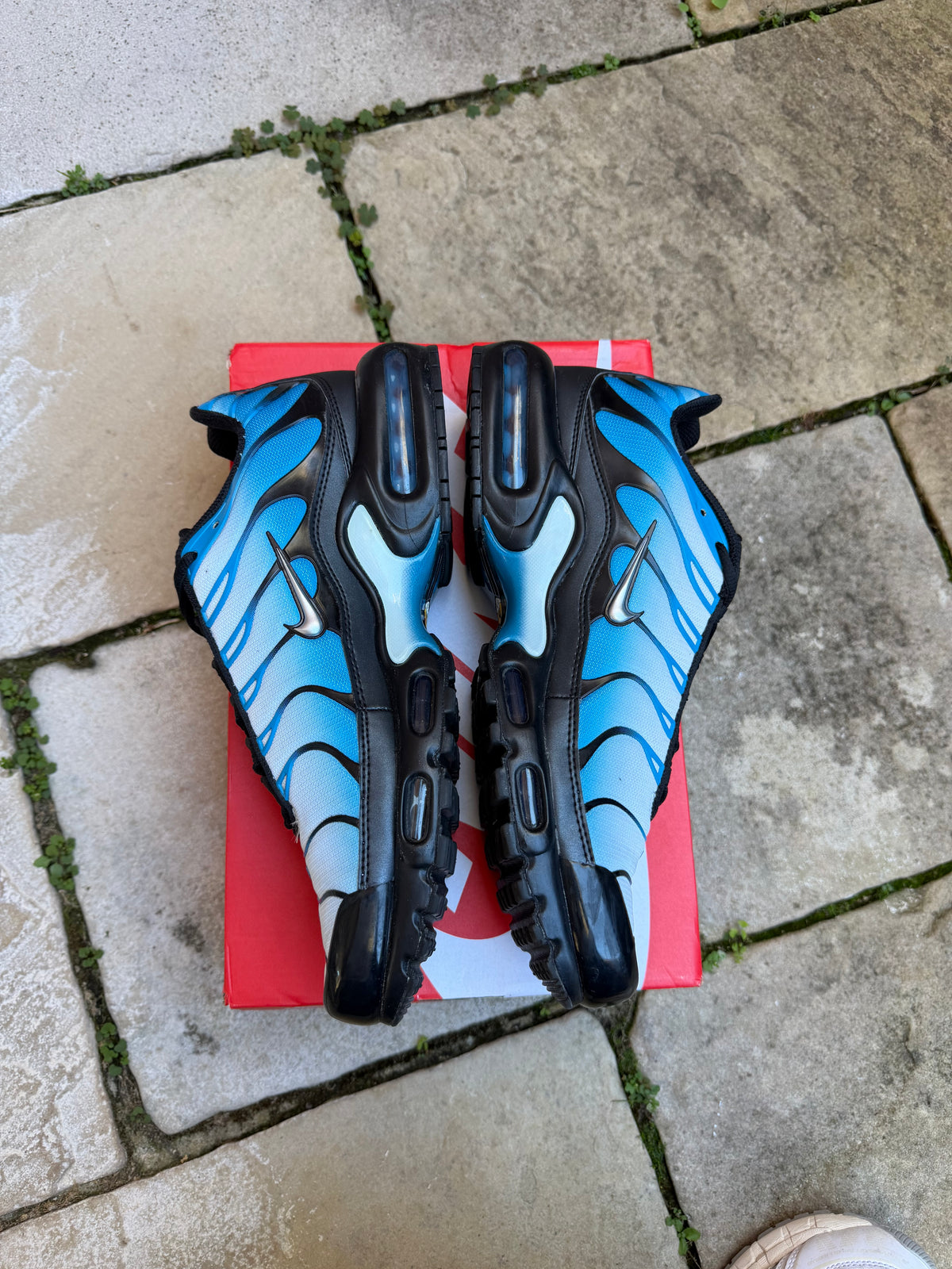 Nike Air Max Plus "Neptune Blue" US11 Men's