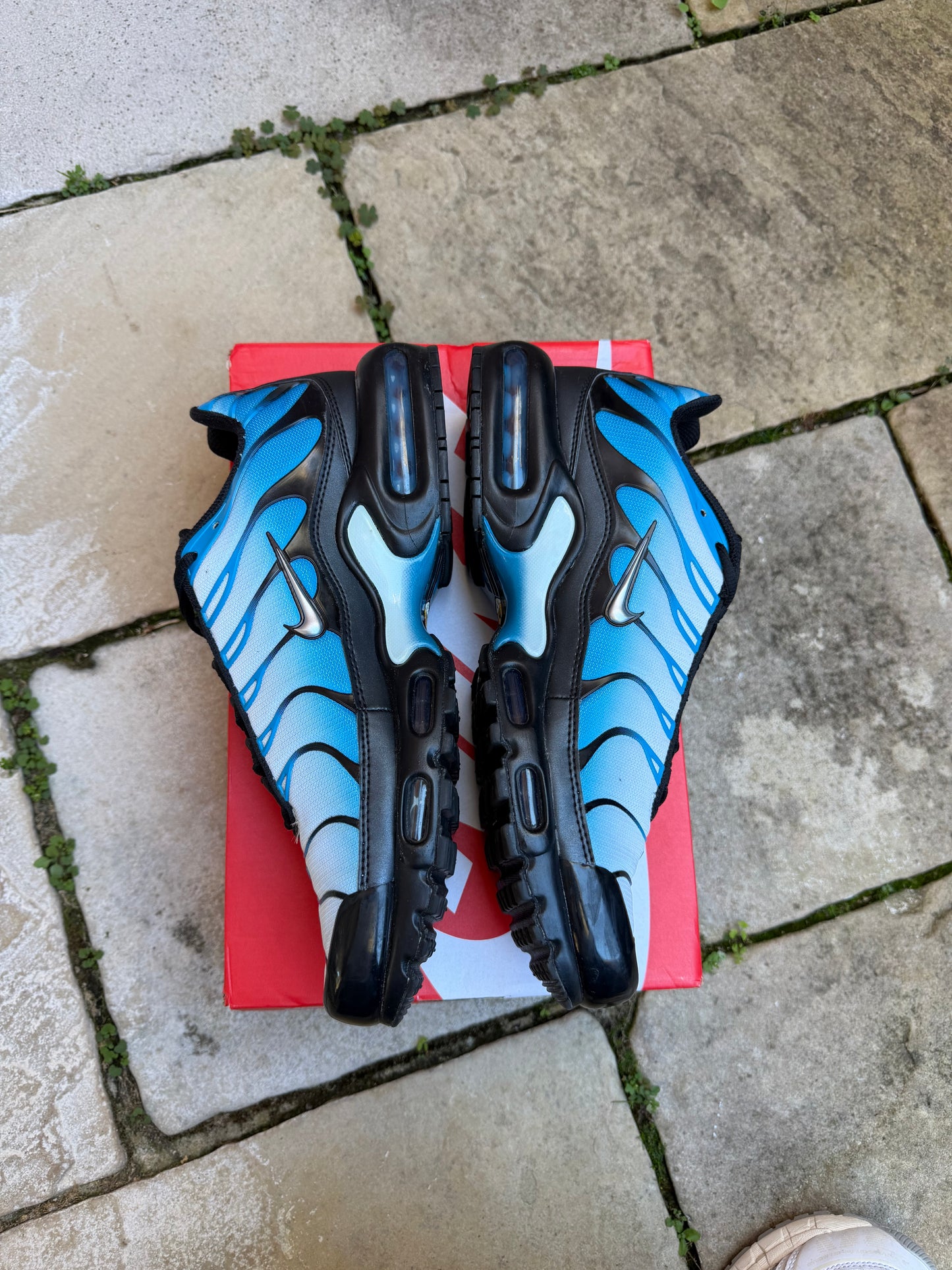 Nike Air Max Plus "Neptune Blue" US11 Men's