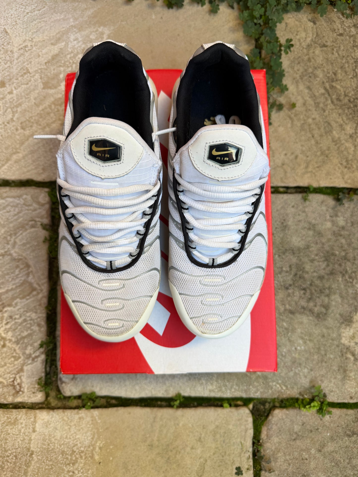 Nike Air Max Plus "Gold Trophies" (2013) US8.5 Men's