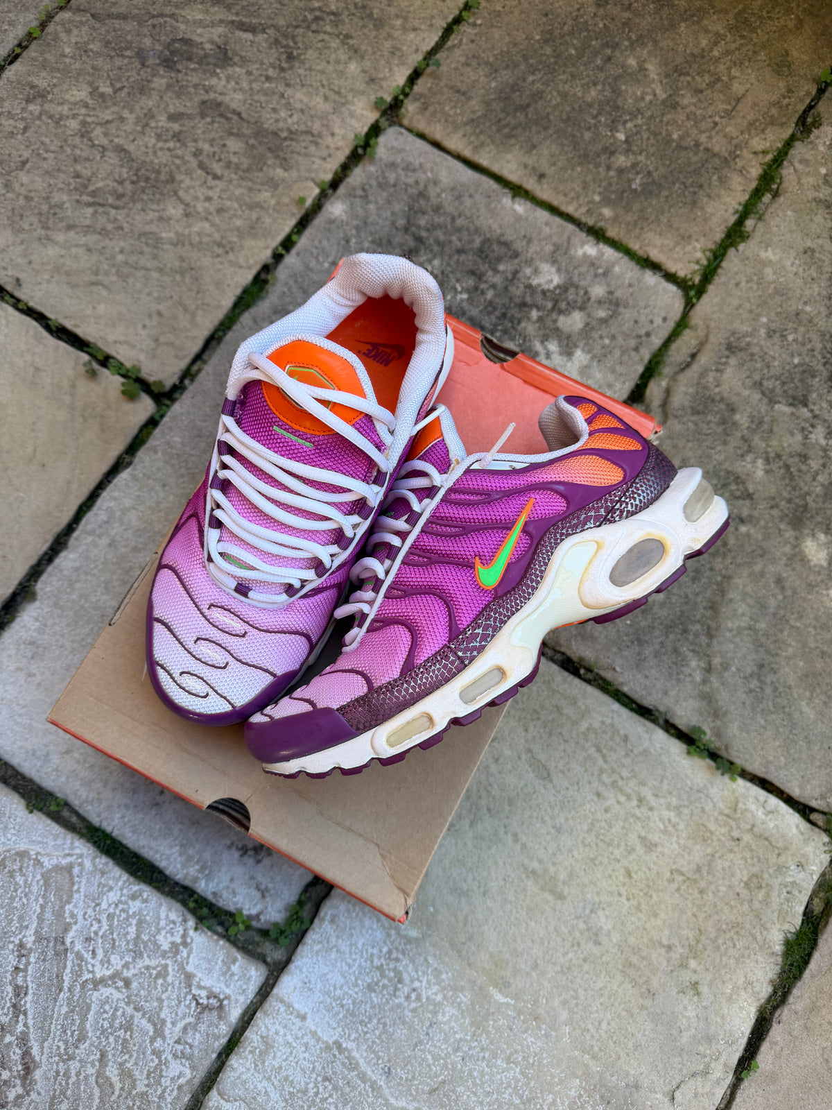 Nike Air Max Plus “Logan Berries” (2007) US10.5 Women’s/ 9 Men’s