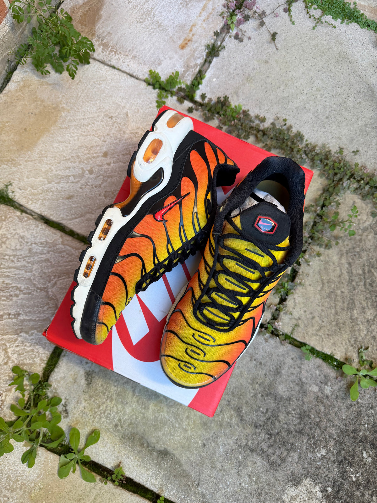Nike Air Max Plus “Tiger” (2024) US10 Men’s