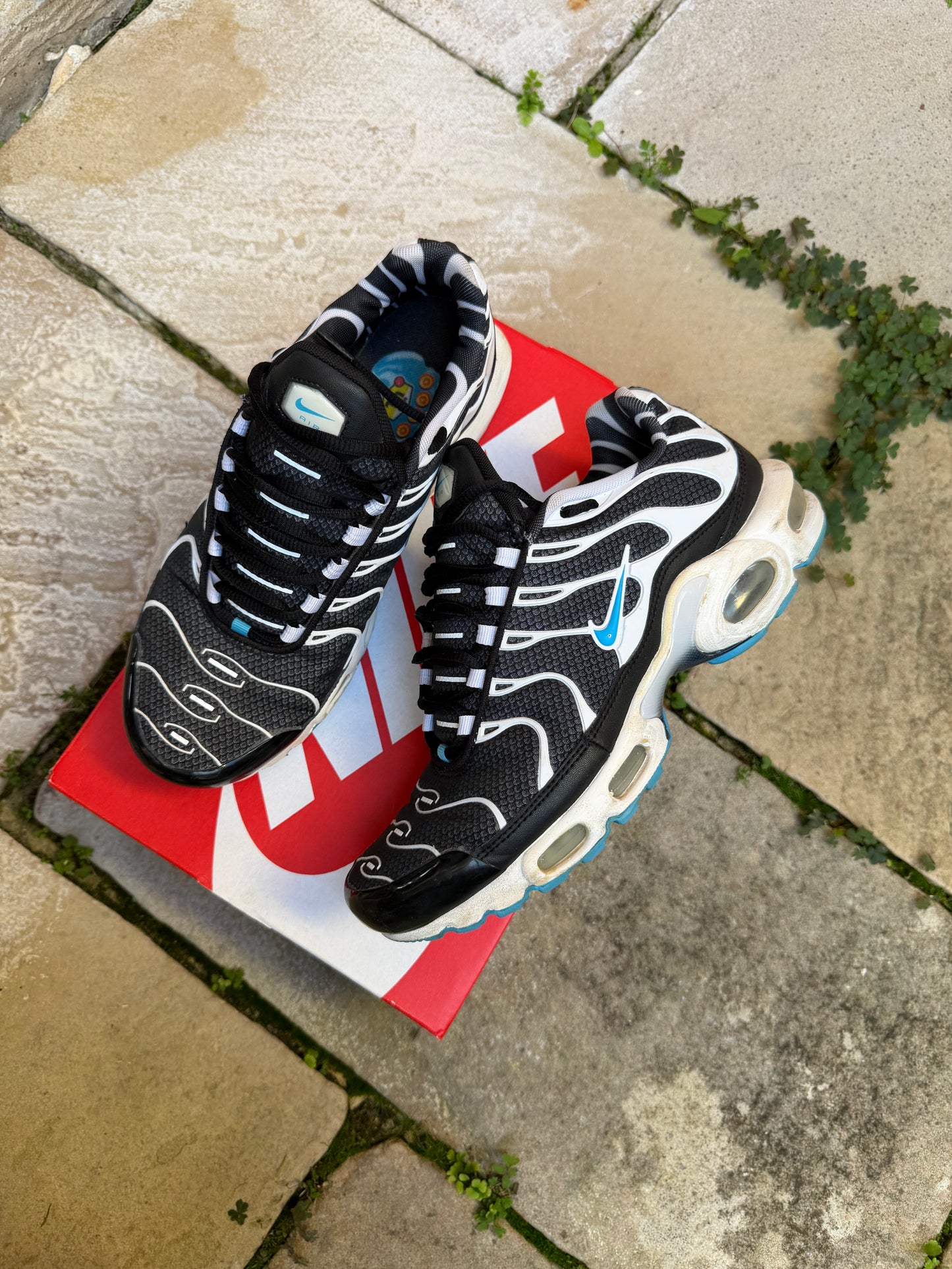 Nike Air Max Plus "Vivid" (2013) US8.5 Men's
