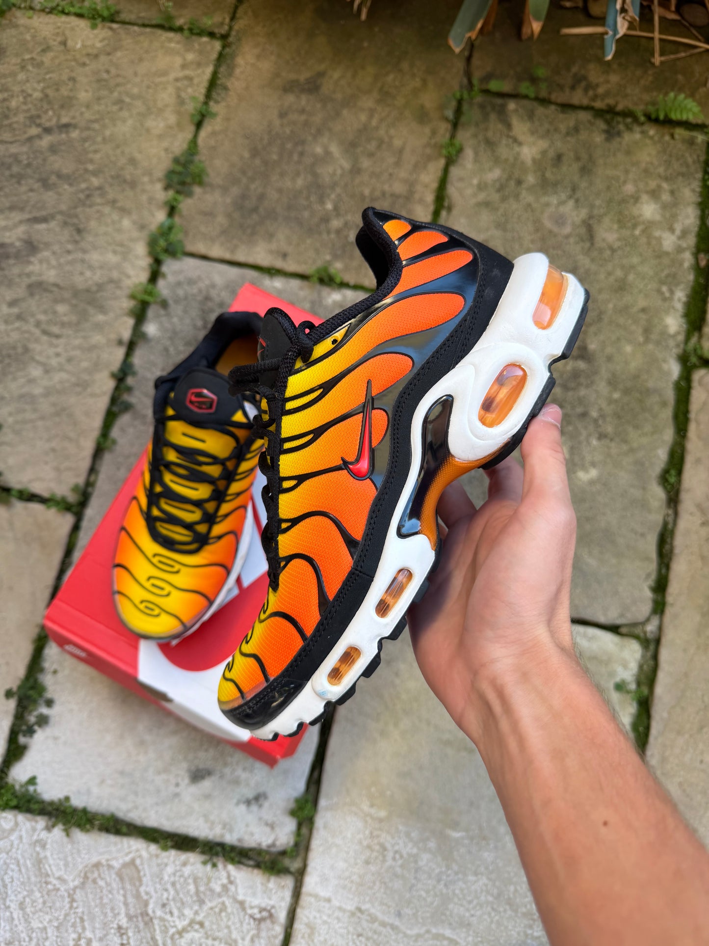 Nike Air Max Plus Tiger 2025 US8.5 Men's