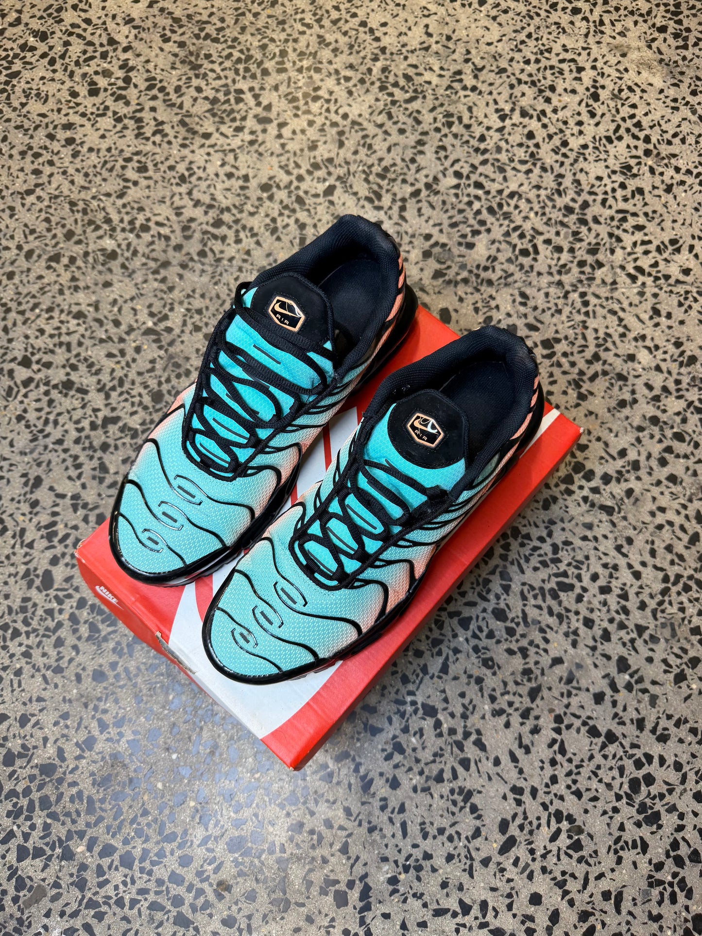 Nike Air Max Plus South Beach US12 Men's