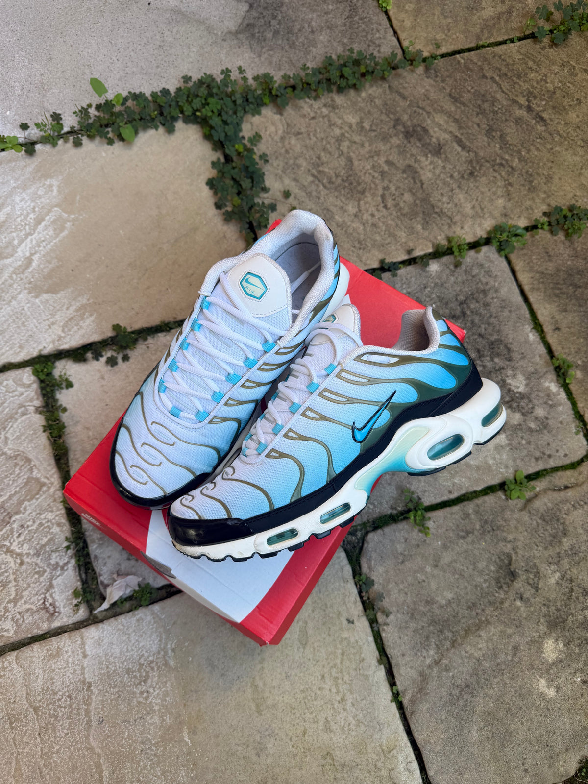 Nike Air Max Plus "Baltic Blue" US11.5 Men's