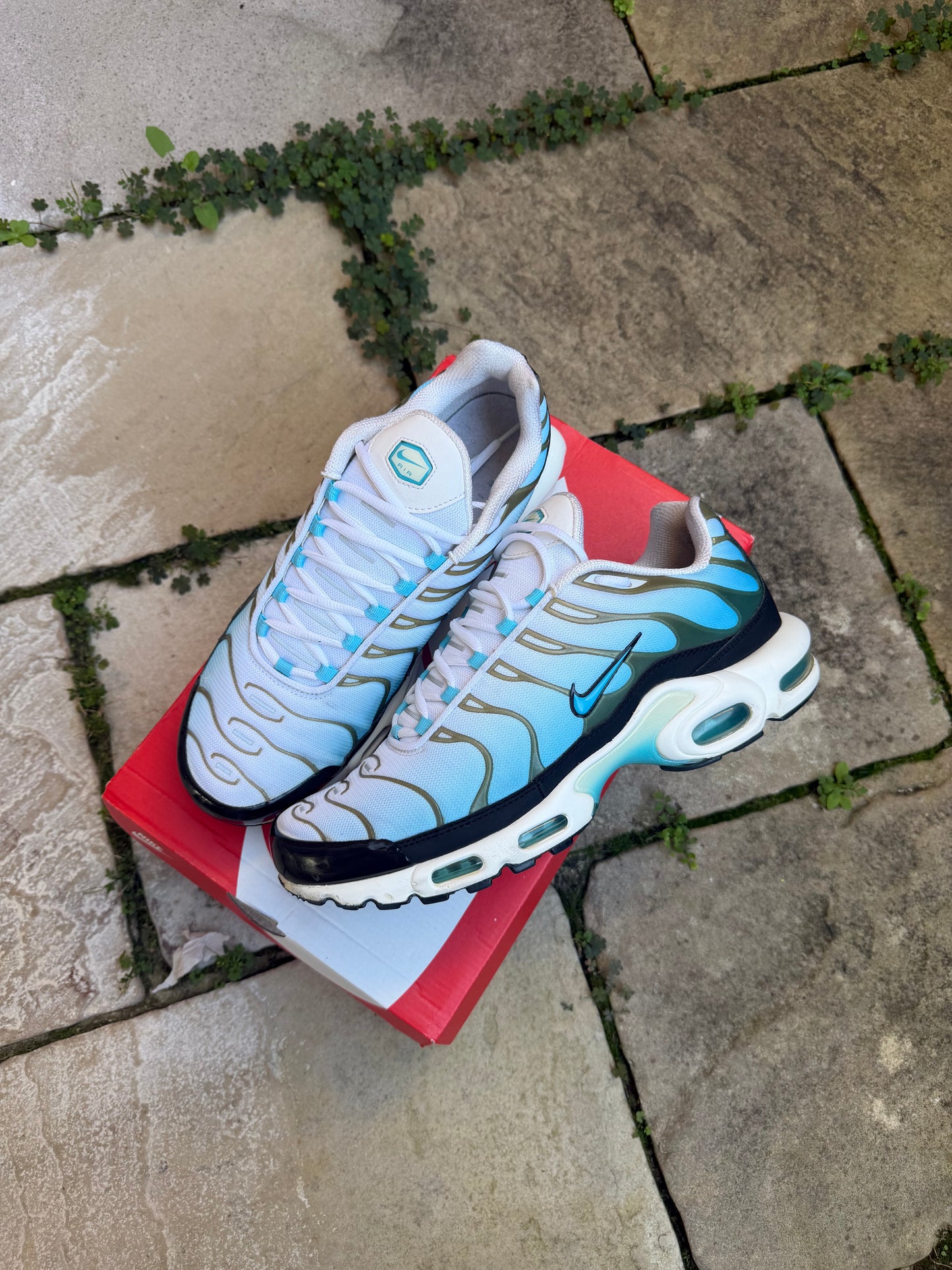 Nike Air Max Plus "Baltic Blue" US11.5 Men's