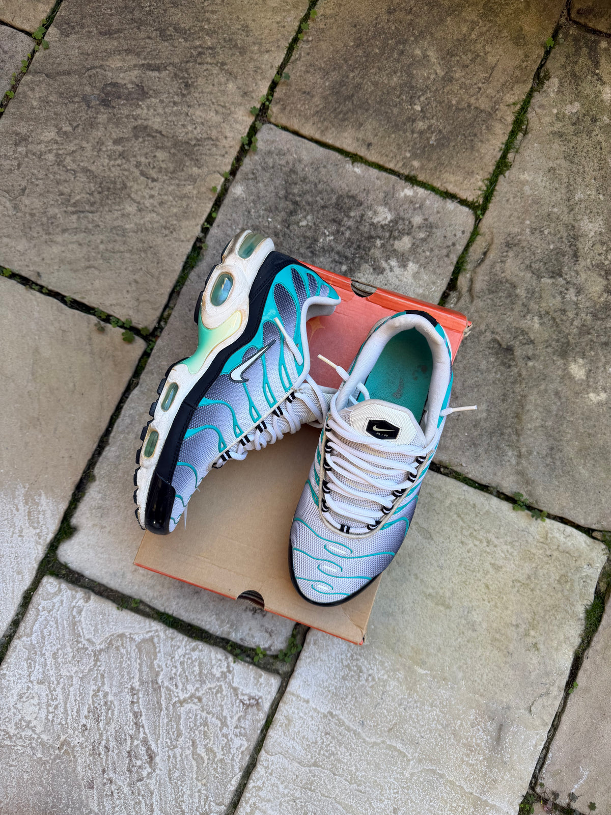 Nike Air Max Plus “Poisons” (2014) US9 Men’s