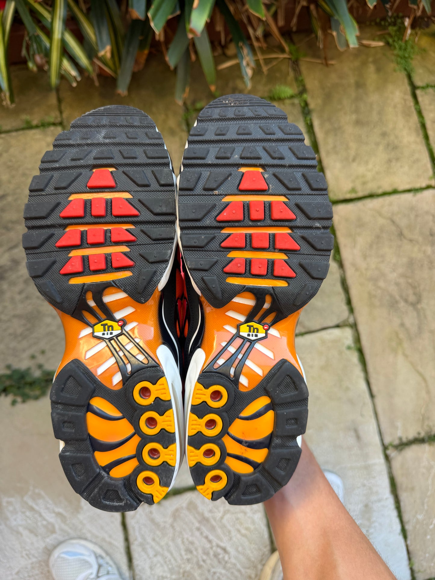 Nike Air Max Plus Tiger 2025 US8.5 Men's