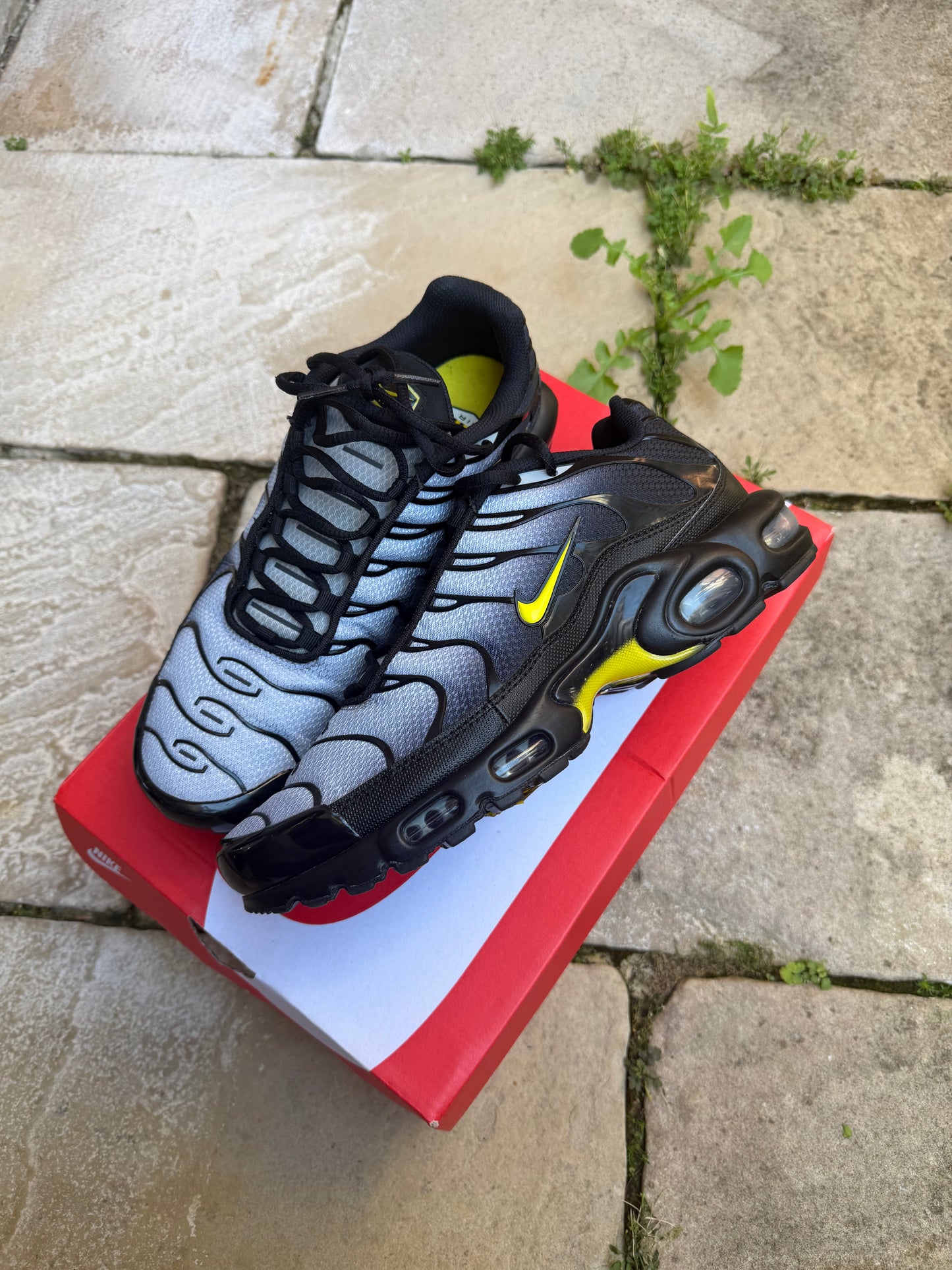 Nike Air Max Plus “Wolf Grey Optic Yellow” US9 Men’s