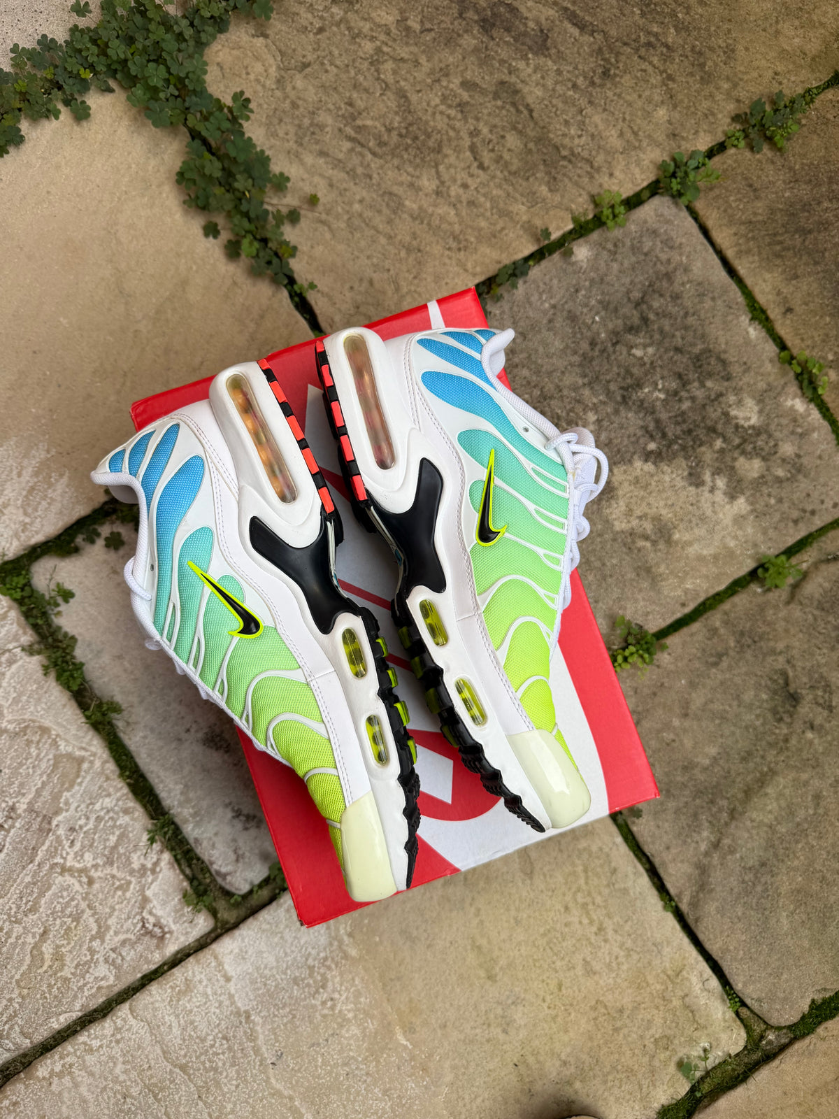 Nike Air Max Plus "Light Worldwide" US10 Men's