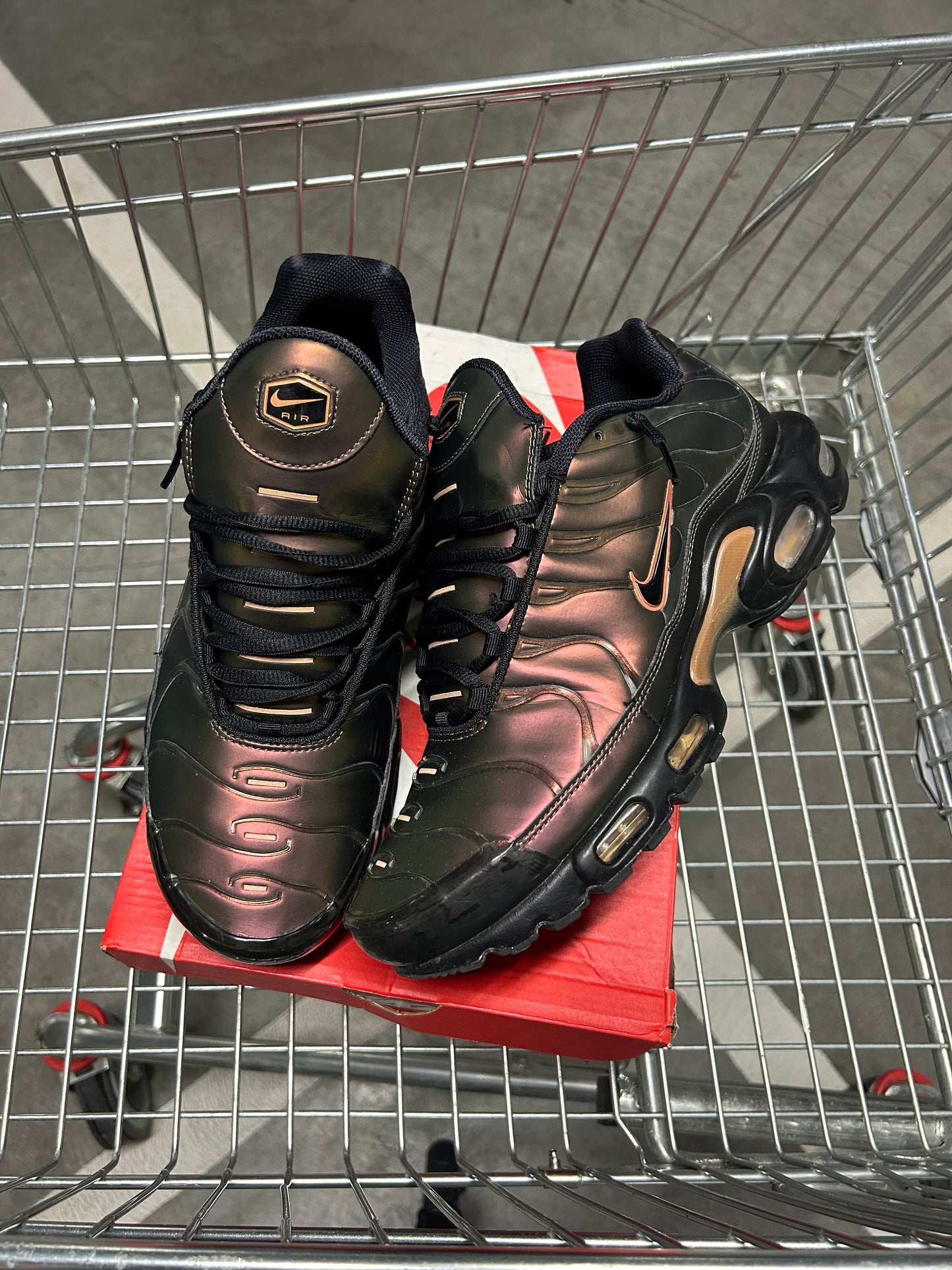 Nike Air Max Plus Scarabs Men’s US10