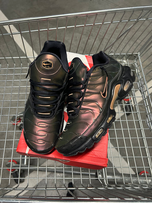 Nike Air Max Plus Scarabs Men’s US10